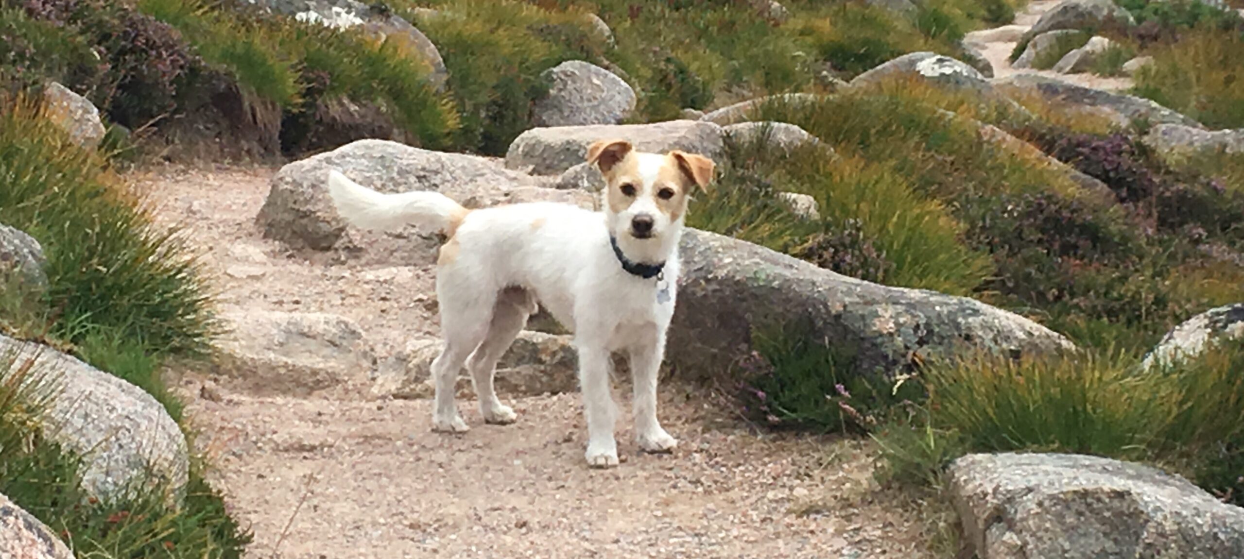 Zouff’s first Cairngorms