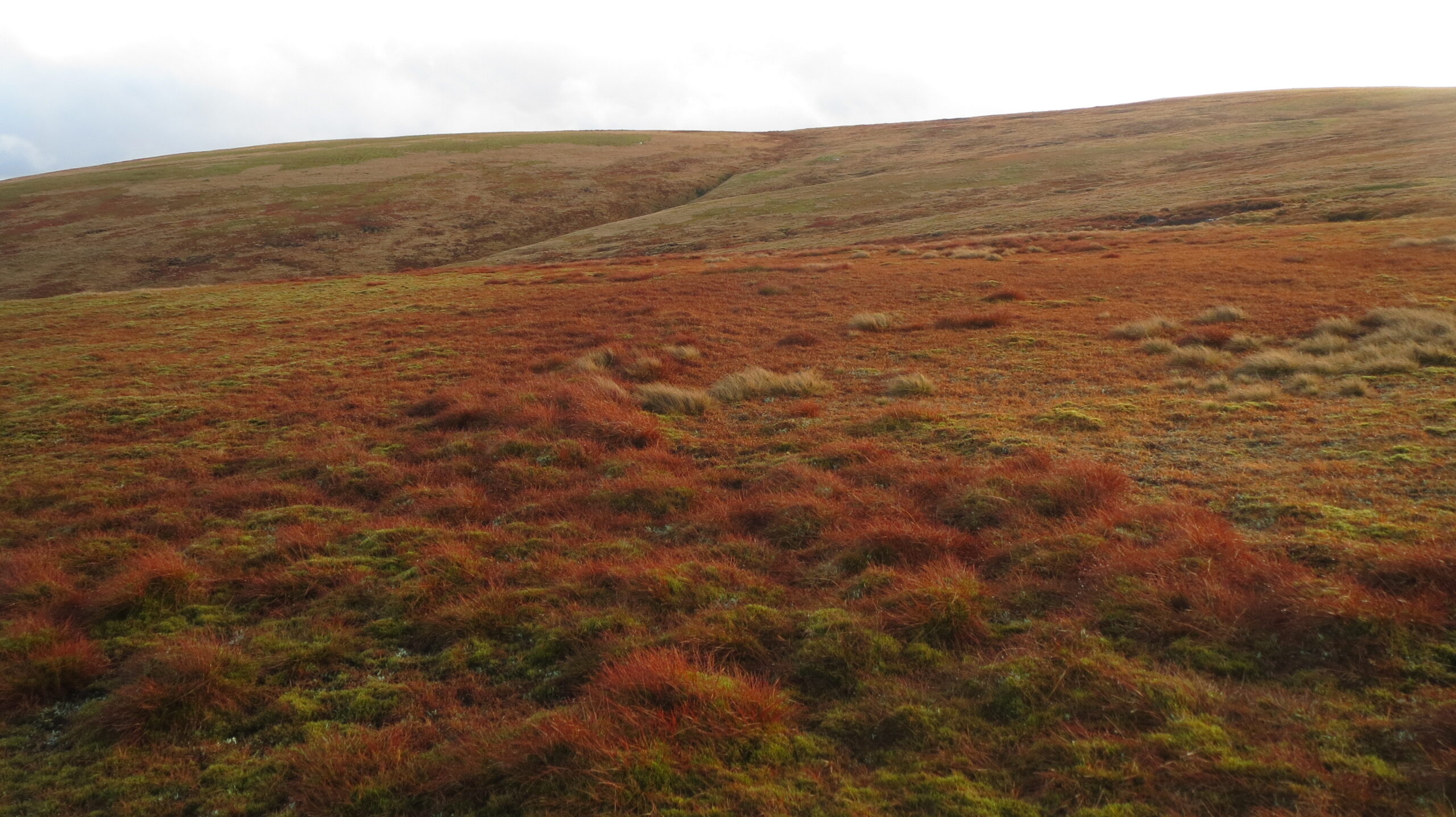 The two most boring Munros?